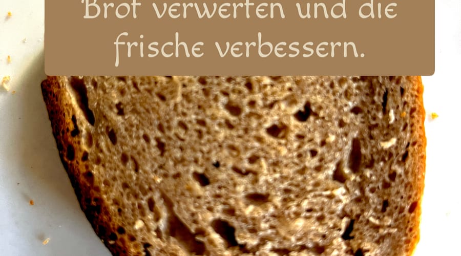 Altbrot zur besseren Frischhaltung 1 Altbrot verwerten
