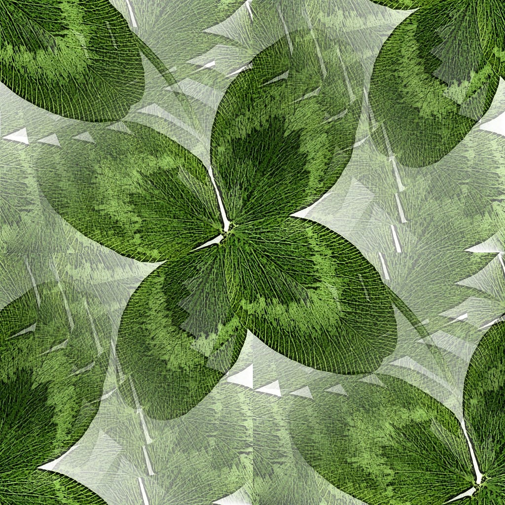 12 Glücksbringer und was sie bedeuten 2 Vierblättriges Kleeblatt