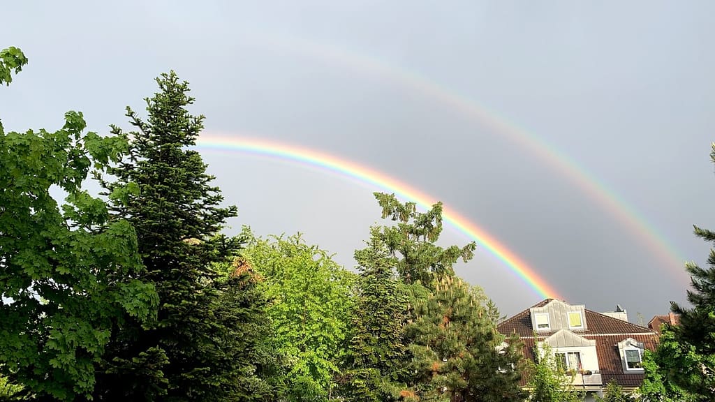 Regenbogen