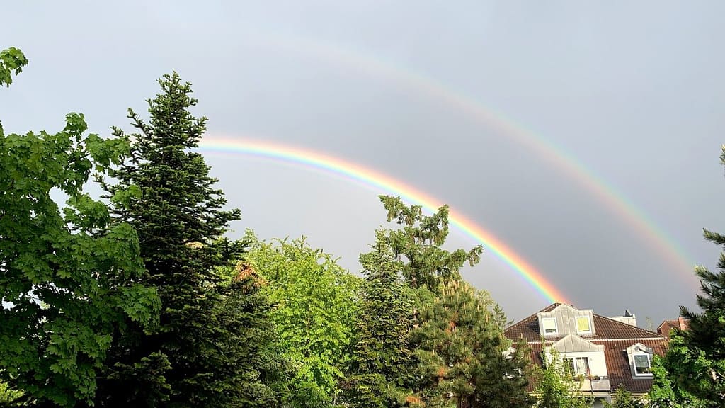 12 Glücksbringer und was sie bedeuten 7 Regenbogen
