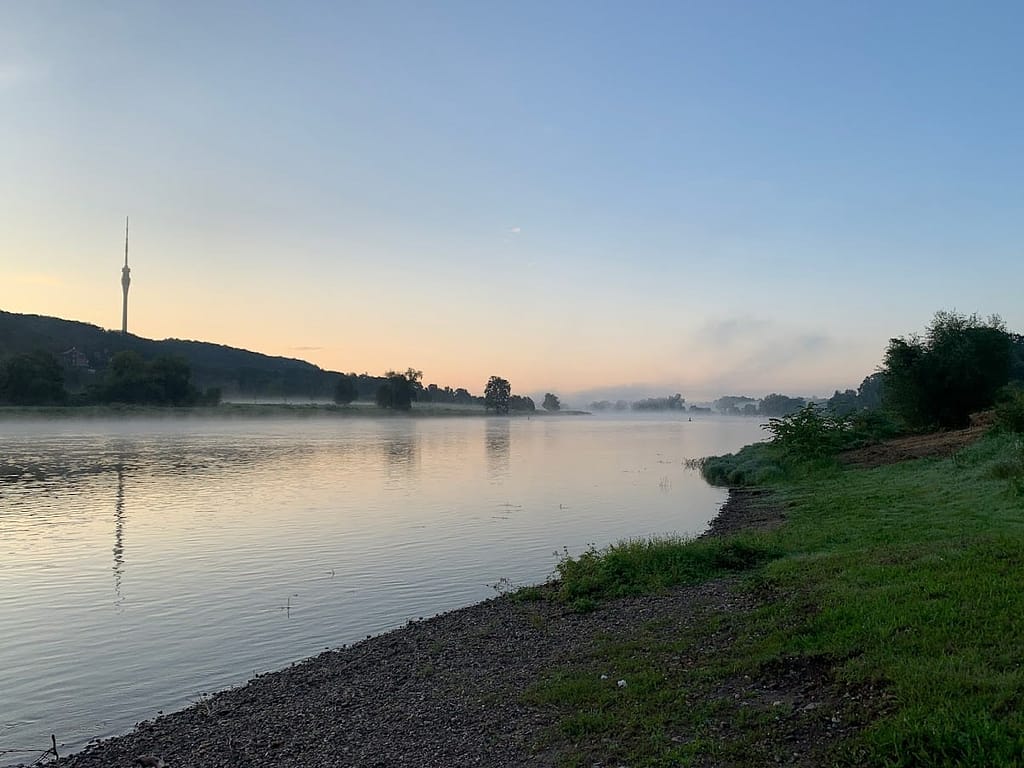 Dresdner Bilder des Monats August 2 Sonnenaufgang an der Elbe