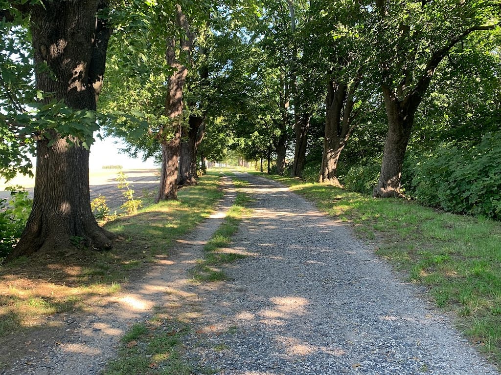 Knut's Bilder des Monats September 2021 7 Herbstanfang