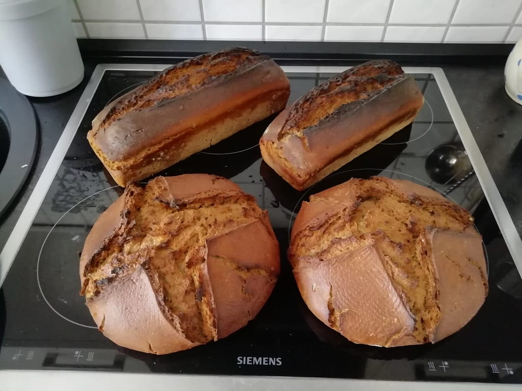 Roggenbrot mit Kultursauerteig 1 Roggenbrot