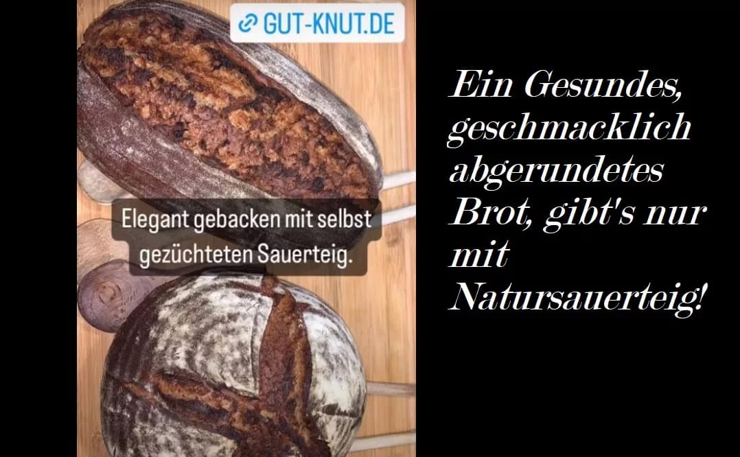 Was ist gutes Brot.? Ein Gesundes, geschmacklich abgerundetes Brot gibt's nur mit Natursauerteig!