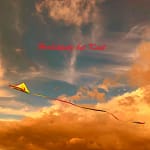 Jetzt ist Herbstputz 14 Herbstputz bei Knut