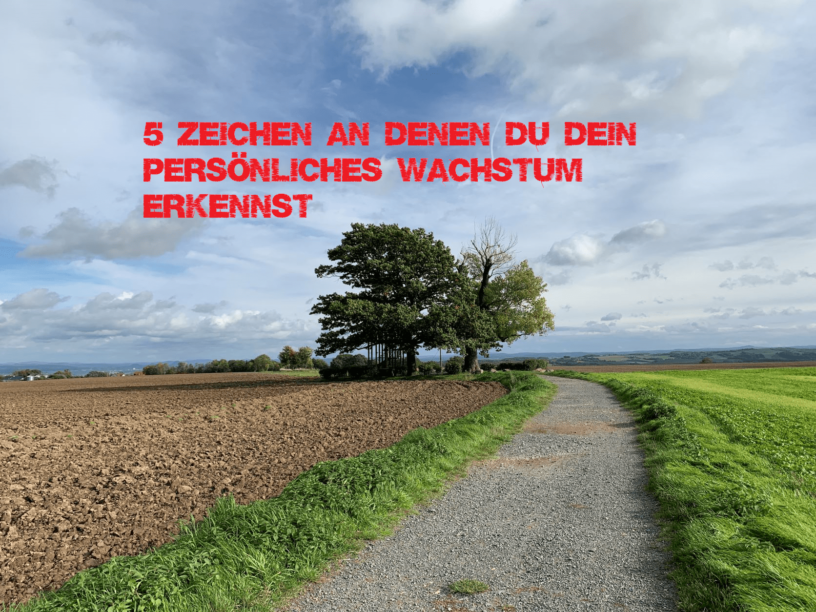 5 Zeichen an denen Du dein persönliches Wachstum erkennst