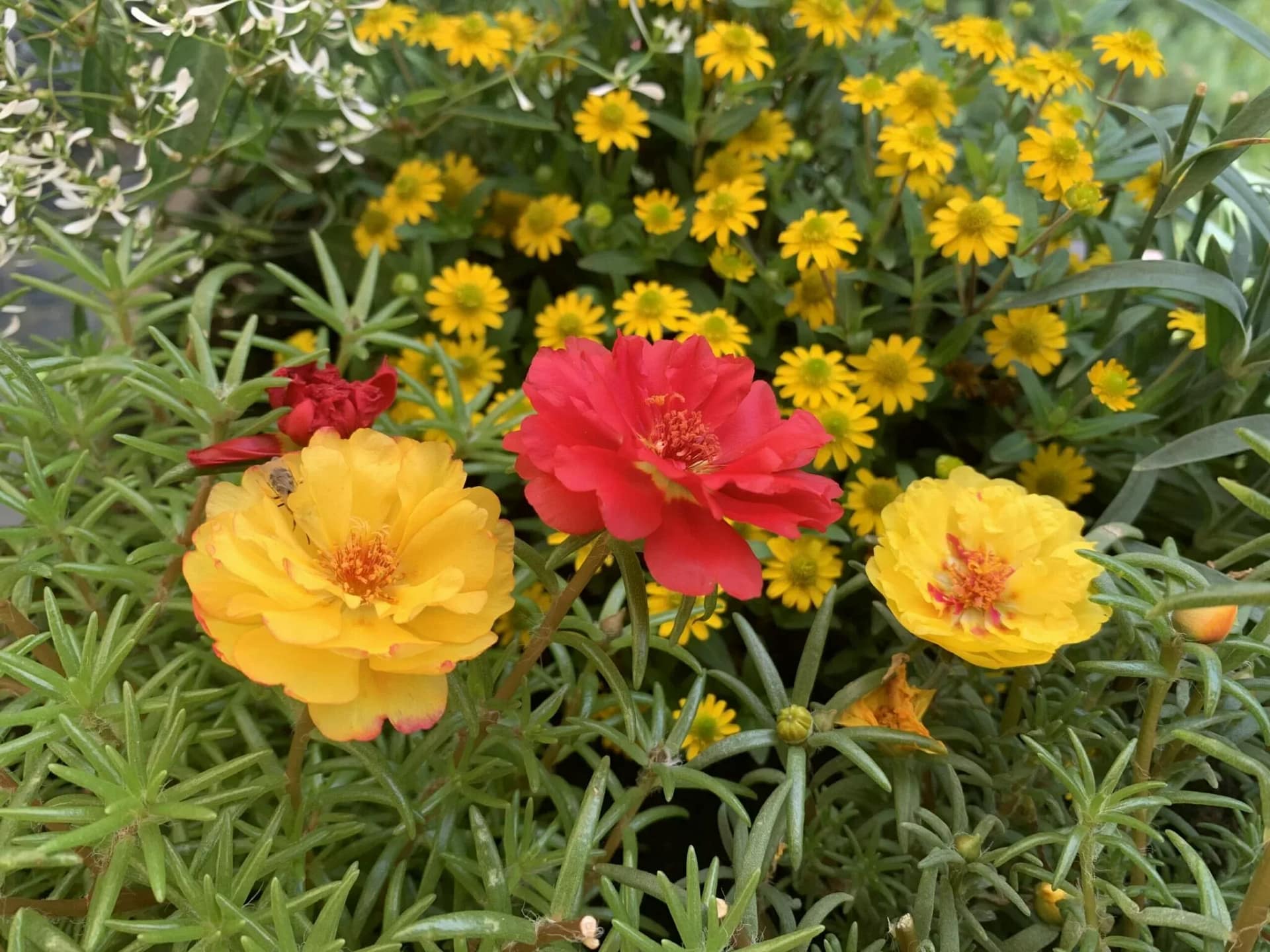 Erwartungen spielen im menschlichen Miteinander eine zentrale Rolle. Nicht nur das wir selbst von unseren Mitmenschen bestimmte Dinge erwarten, erwarten andere Leute auch von uns bestimmte Dinge. Wenn ich zum Beispiel als Bäcker Brötchen backe, erwartet mein Chef, das ich eine bestimmte Menge, in einer bestimmten Zeit, mit vorgegebenen Zutaten backe. Natürlich erwartet er noch eine gute Qualität. Ich erwarte, das mein Chef der Bäckermeister mich dafür gut entlohnt. Und der Kunde erwartet, das er die Brötchen kaufen kann. Und der Mann der die Brötchen kauft, erwartet, das seine Frau zu Hause den Tisch bereits gedeckt hat, wenn er mit den Brötchen ankommt.