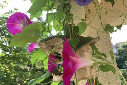 Wenn es um Erholung geht, denken wir meistens an Urlaub oder das Wochenende. Mancher denkt noch an den Feierabend, aber die wenigsten an die Arbeit.