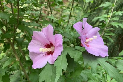 Die zehn Bilder des Monats Juli 9 Bilder des Monats