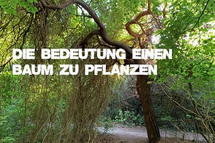 Die Bedeutung einen Baum zu pflanzen