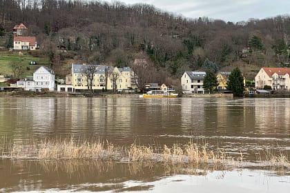 Elb-Hochwasser Dresden-Laubegast 2023