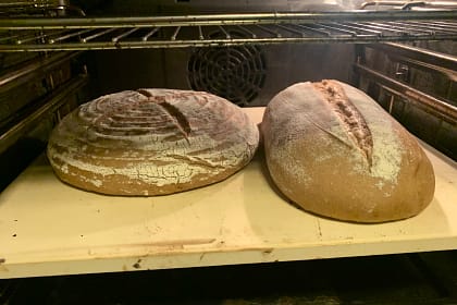 Brot im Backofen