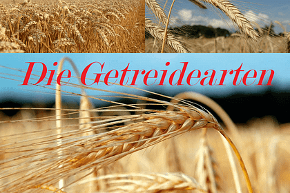 Getreide Getreidearten