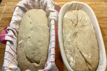 Wann ist der Brotteig reif fürs Formen?