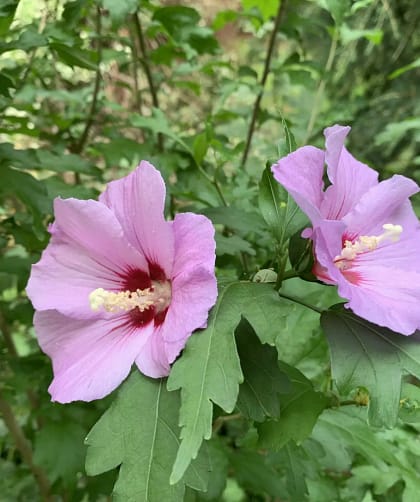 Die zehn Bilder des Monats Juli 12 Bilder des Monats