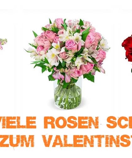 Wie viele Rosen schenkt man zum Valentinstag?
