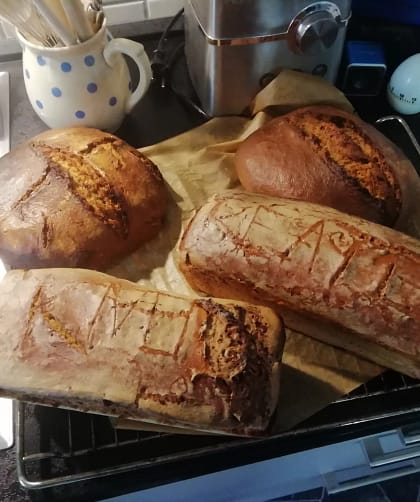 Brot selber backen - Brotkasten und rundes Roggenbrot