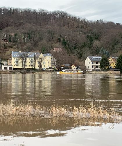 Bilder Elb-Hochwasser Dresden-Laubegast 2023 1 Elb-Hochwasser Dresden-Laubegast 2023