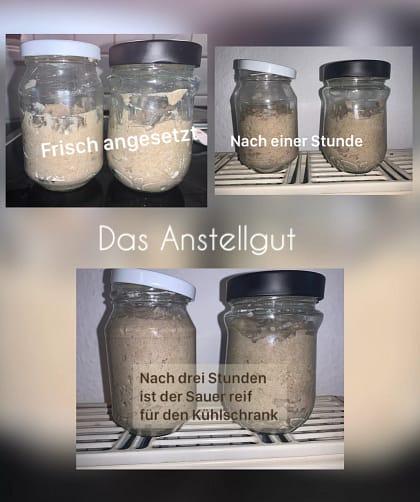So verwendest Du Knut's Natursauerteig 3 Der Weg zum Sauerteig Anstellgut - So verwendest Du Knuts Sauerteig