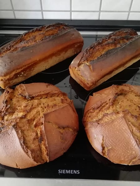 Roggenbrot mit Kultursauerteig 4 Roggenbrot