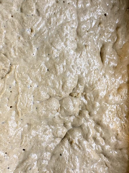 fertiger Sauerteig, Roggensauer aus Roggenmehl