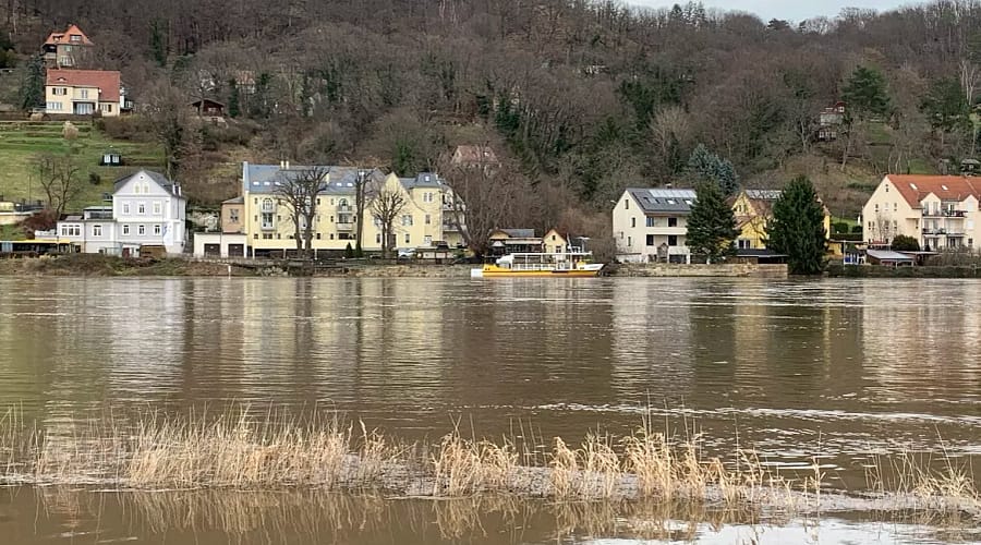 Bilder Elb-Hochwasser Dresden-Laubegast 2023 1 Elb-Hochwasser Dresden-Laubegast 2023