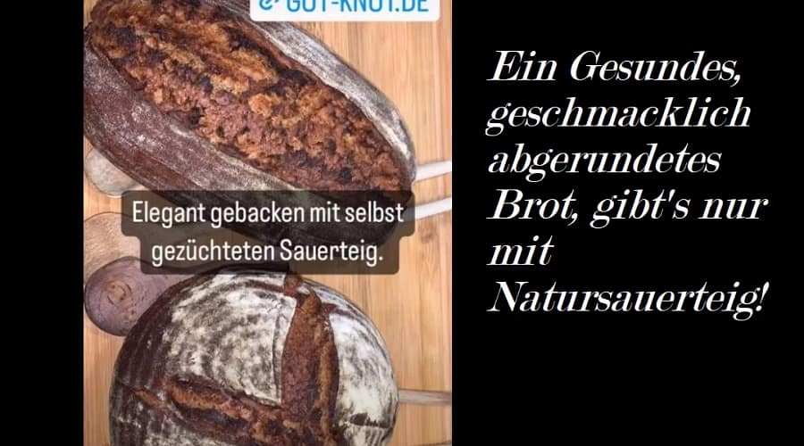 Was ist gutes Brot.? Ein Gesundes, geschmacklich abgerundetes Brot gibt's nur mit Natursauerteig!