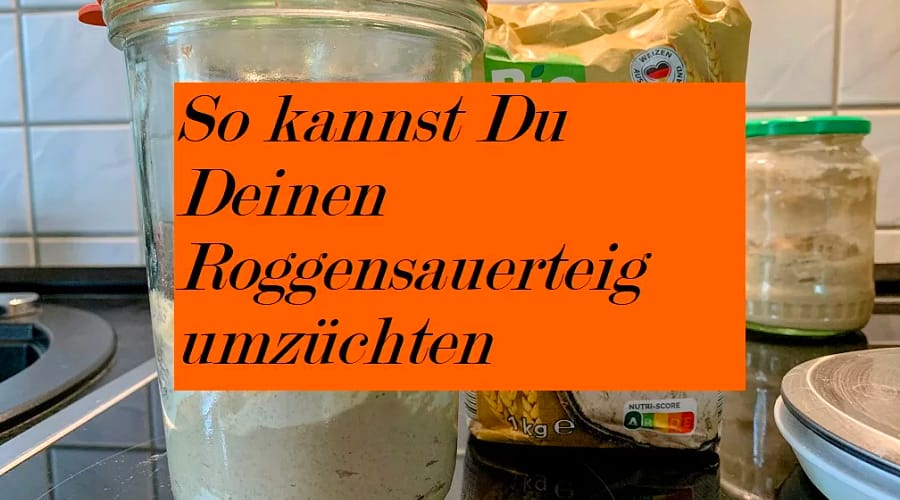 So kannst Du Roggensauerteig umzüchten 1 So kannst Du Deinen Roggensauerteig umzüchten
