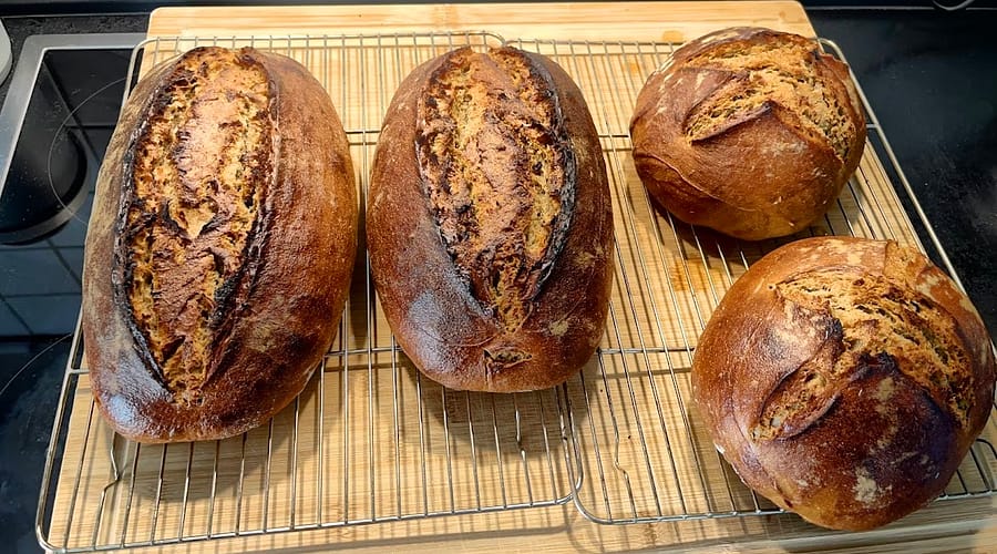 Mit Glanzstreiche zu einem glänzenden Brot 1 Ganzstreiche