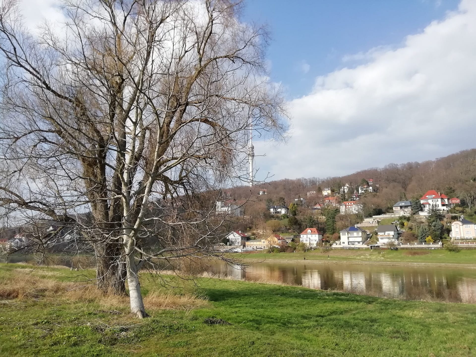 Bildergalerie die Elbe am Laubegaster Ufer 4 Am-Elbradweg-in-Laubegast