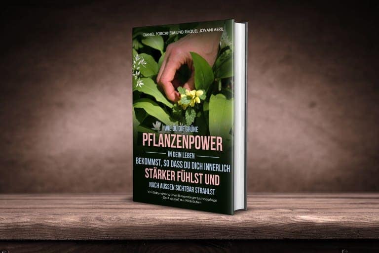 Kräuter sind Alleskönner der Natur