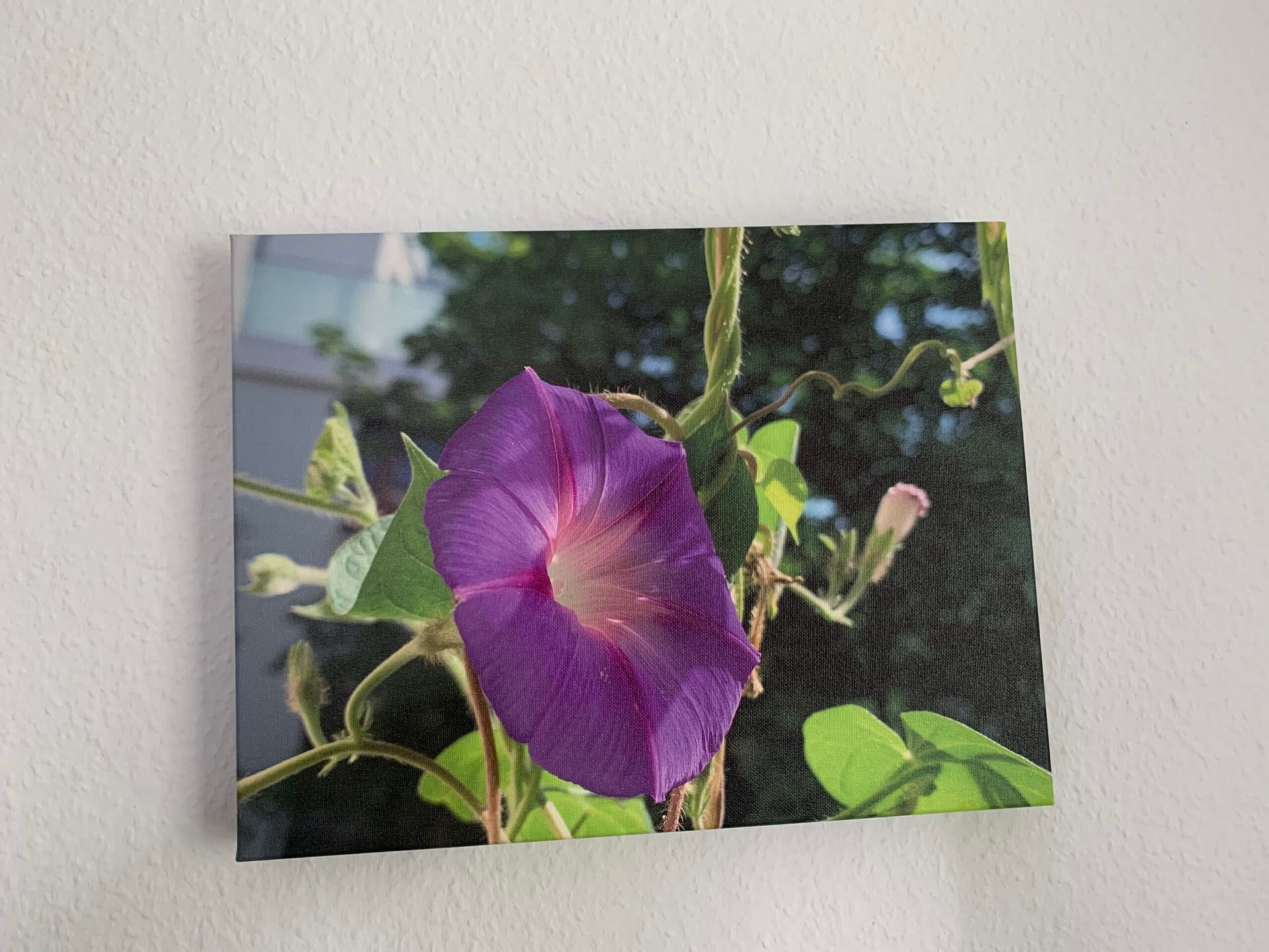 Jedes Kind ist ein Künstler: das Problem ist, Künstler zu bleiben, wenn man erwachsen wird.