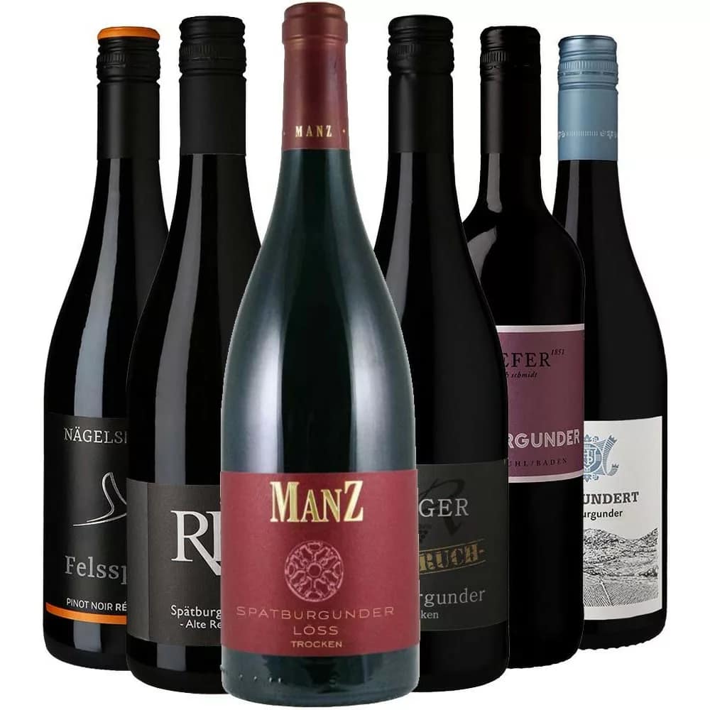 Warum es lohnt Weinpakete zu kaufen 2 Spätburgunder Entdeckerpaket