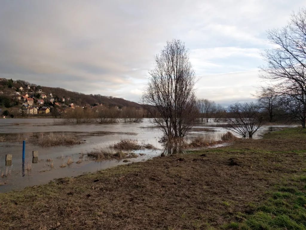 Bilder Elb-Hochwasser Dresden-Laubegast 2023 8 Das Elb-Hochwasser scheint momentan zu stagnieren. Ich habe heute nochmal paar Fotos gemacht um einen Vergleich zu haben.