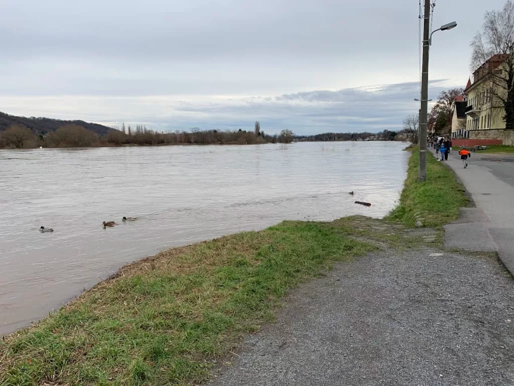 Bilder Elb-Hochwasser Dresden-Laubegast 2023 9 Das Elb-Hochwasser scheint momentan zu stagnieren. Ich habe heute nochmal paar Fotos gemacht um einen Vergleich zu haben.